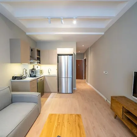 Historic 1 Bedroom Galata Apt-heart Of Kuledibi 4 *