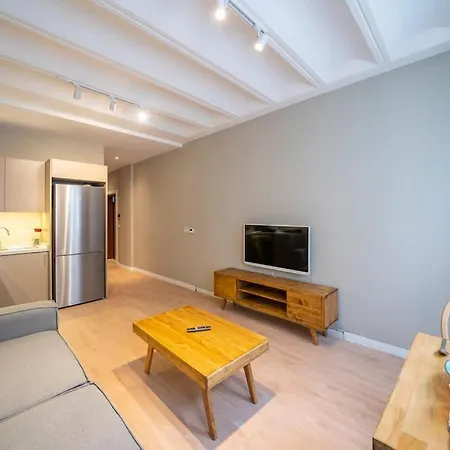 Historic 1 Bedroom Galata Apt-heart Of Kuledibi 4