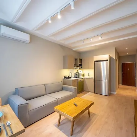 Historic 1 Bedroom Galata Apt-heart Of Kuledibi 4 *